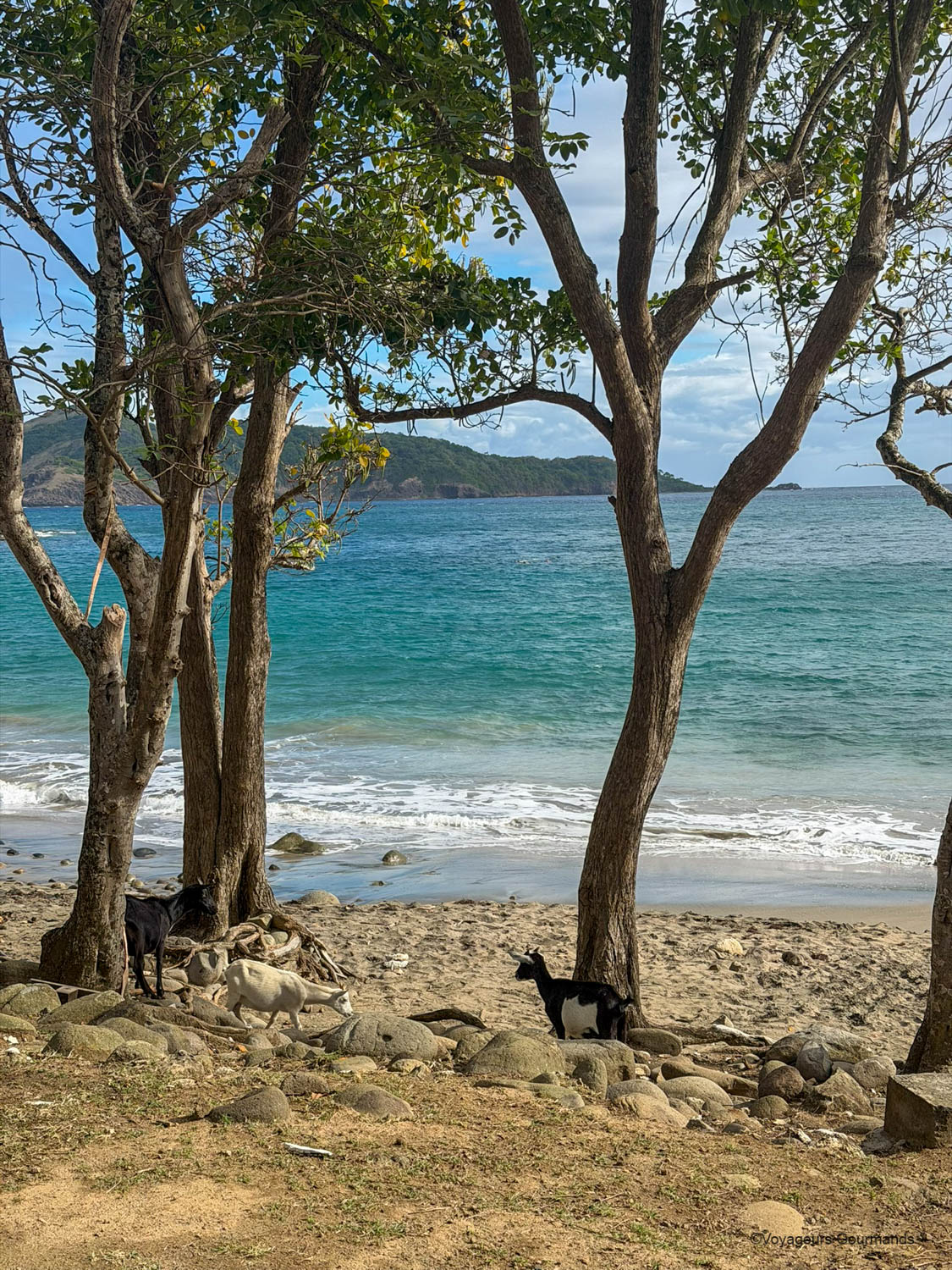 anse crawen les saintes