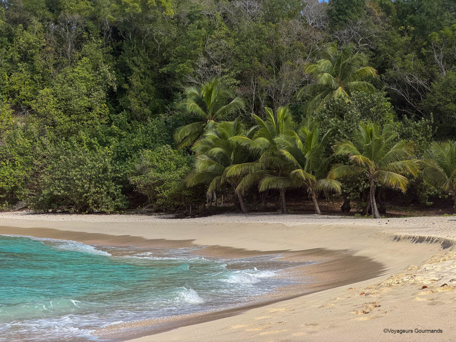 anse laborde guadeloupe nord sauvage