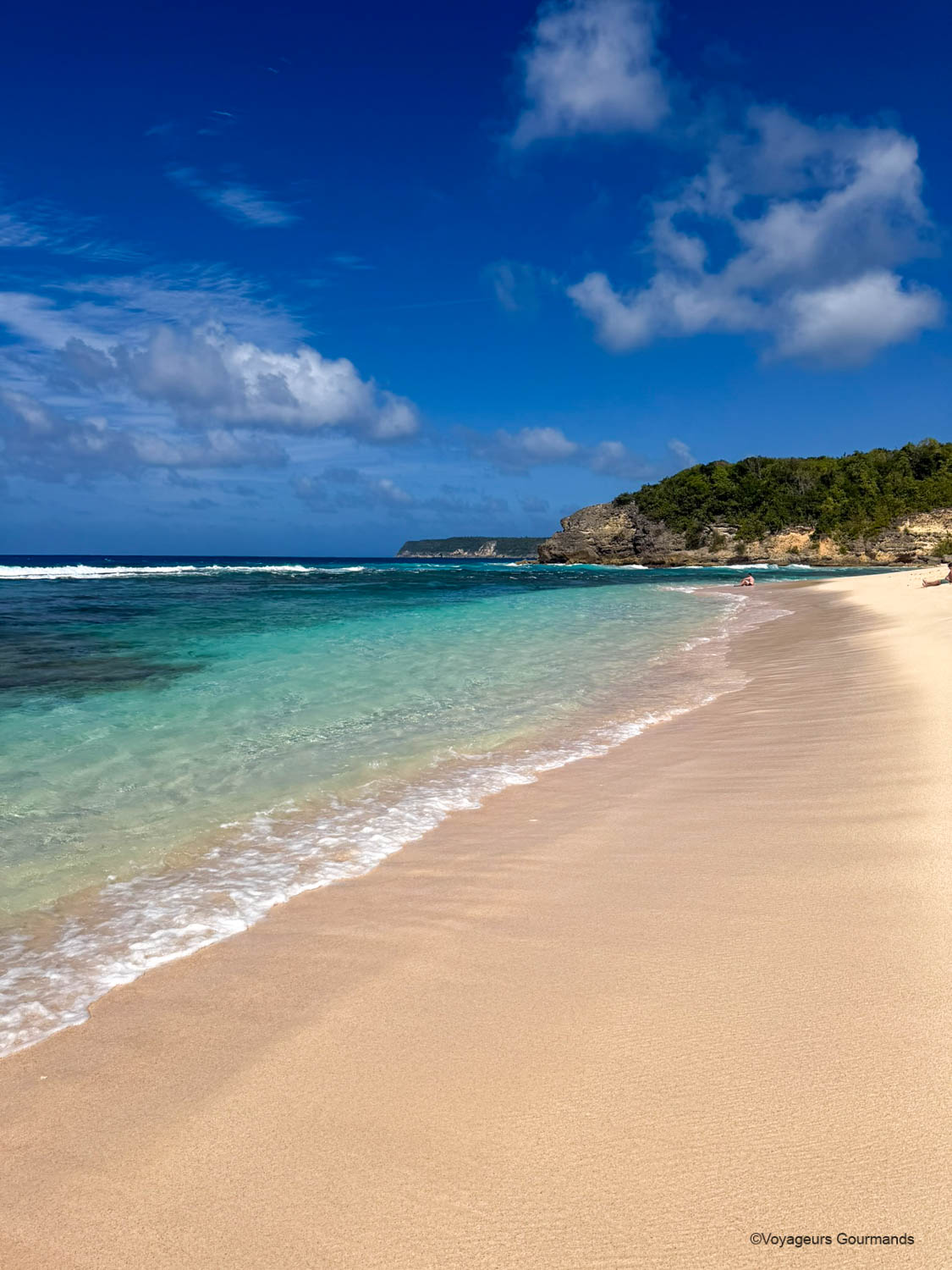 anse laborde guadeloupe nord sauvage
