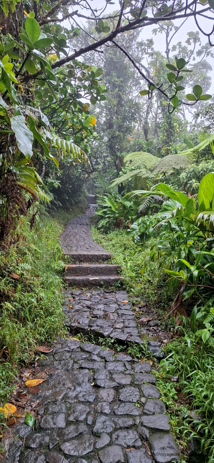 Ascension de la soufrière guadeloupe