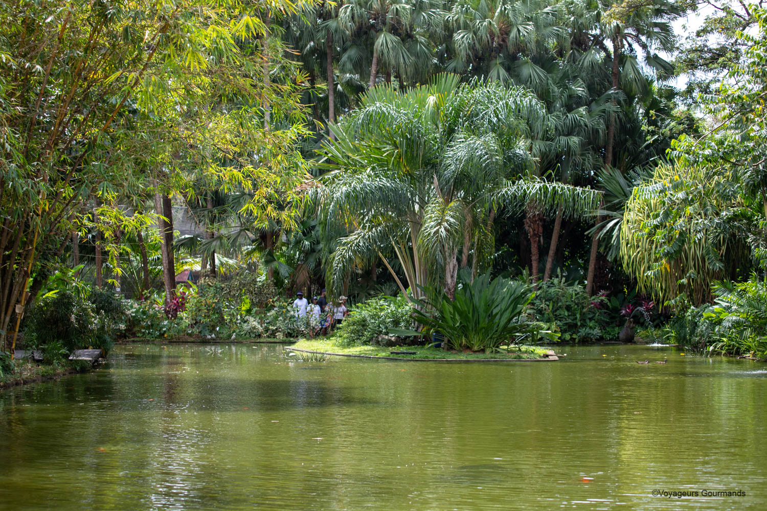 itinéraire en Guadeloupe