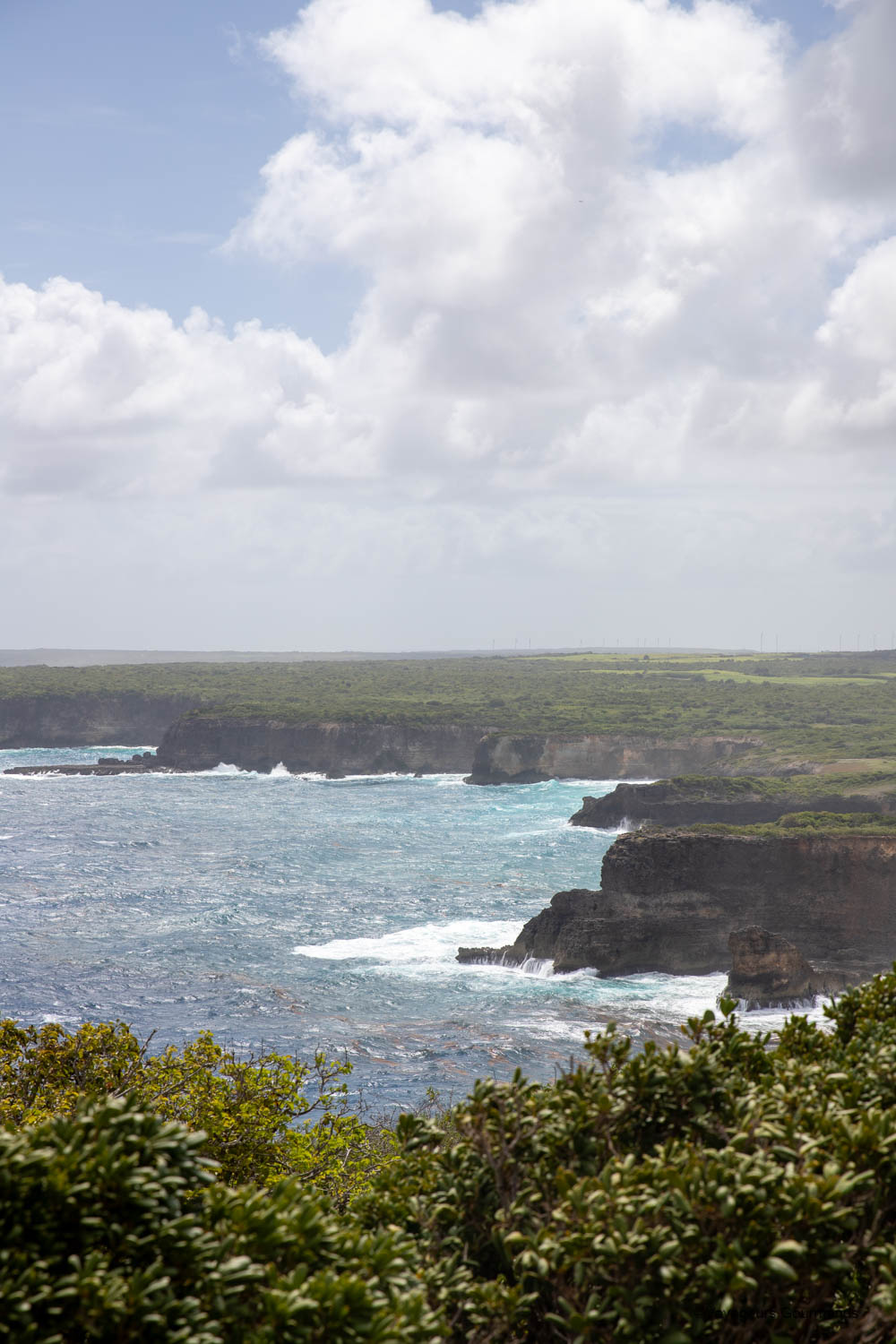 nord sauvage de guadeloupe