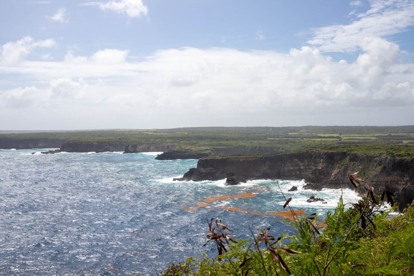 nord sauvage de guadeloupe