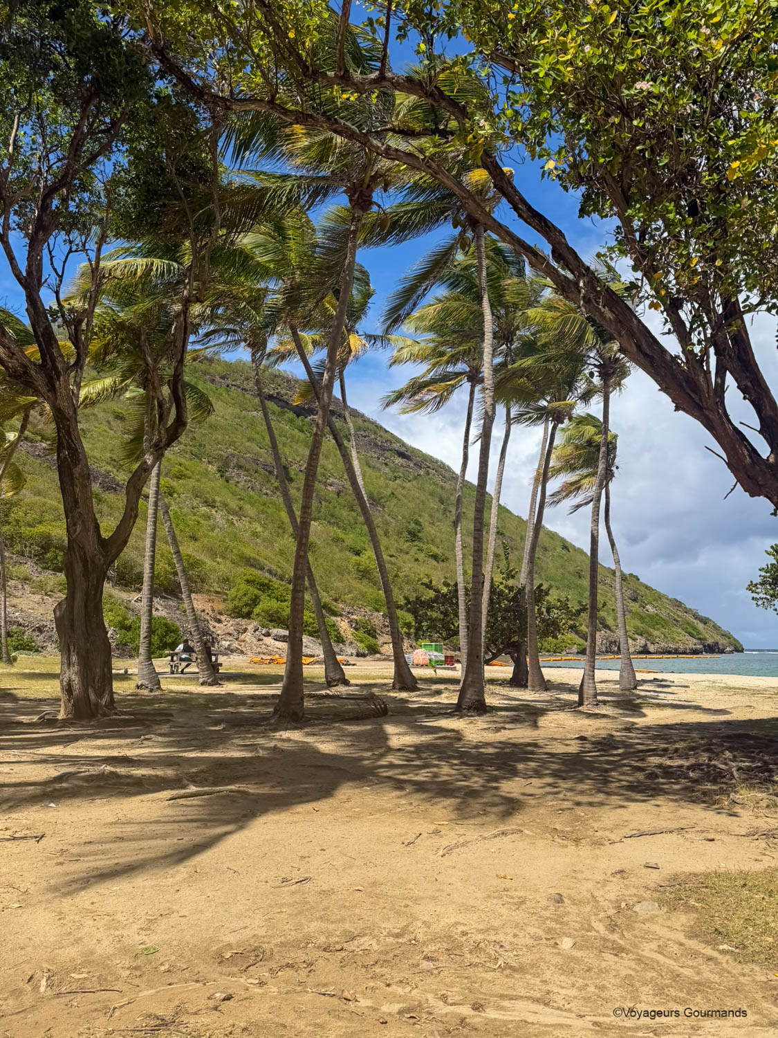 plage de pompierre iles des saintes guadeloupe