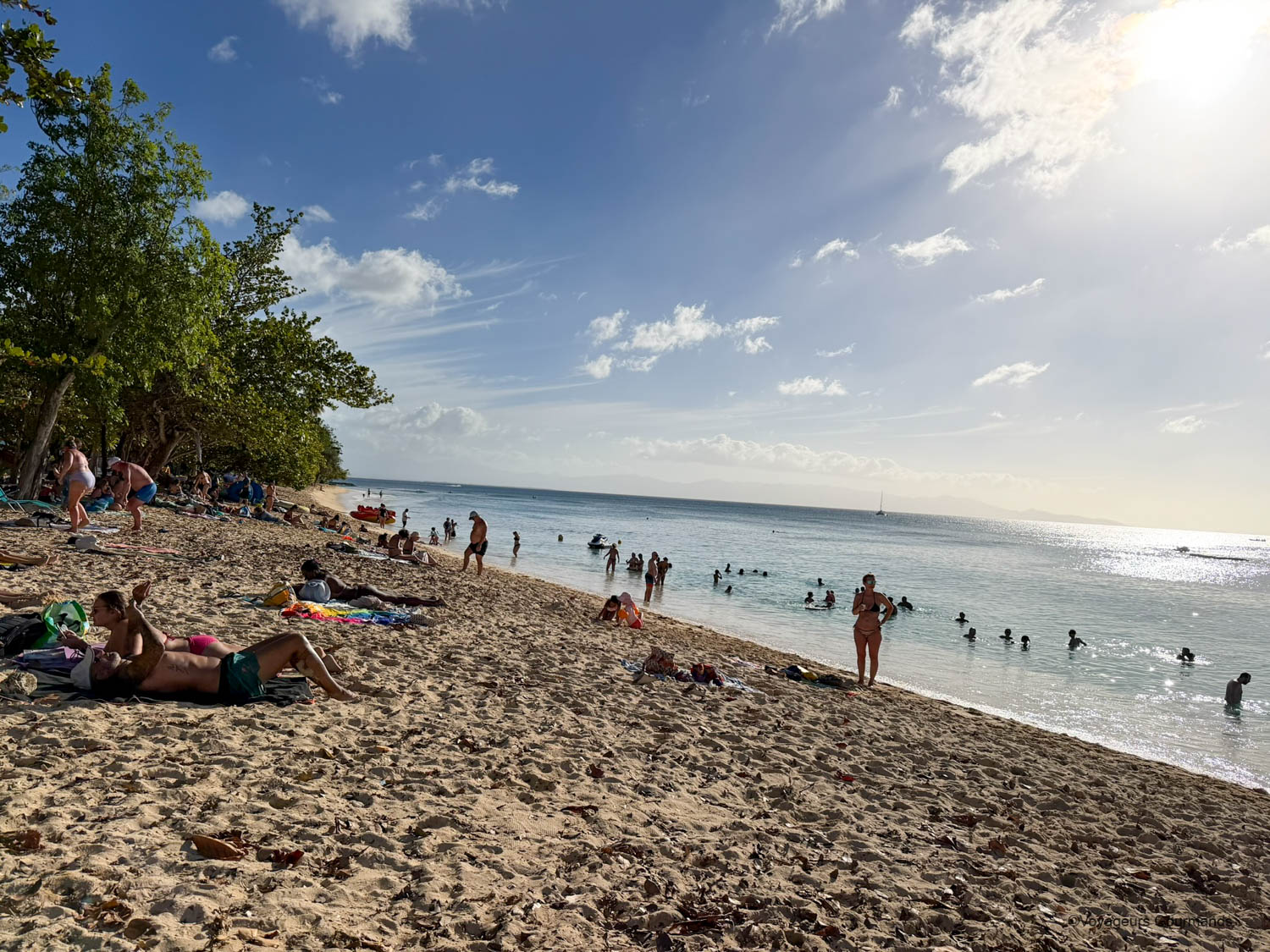 plage du souffleur nord sauvage guadeloupe