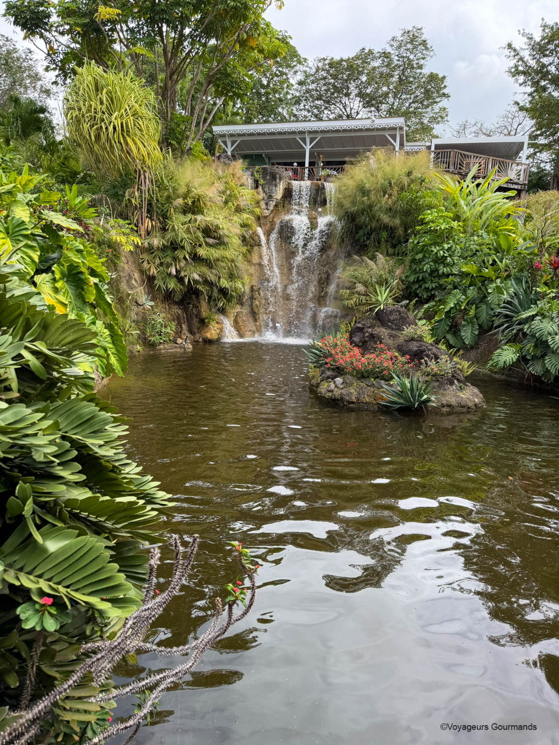 jardin botanique de deshaies