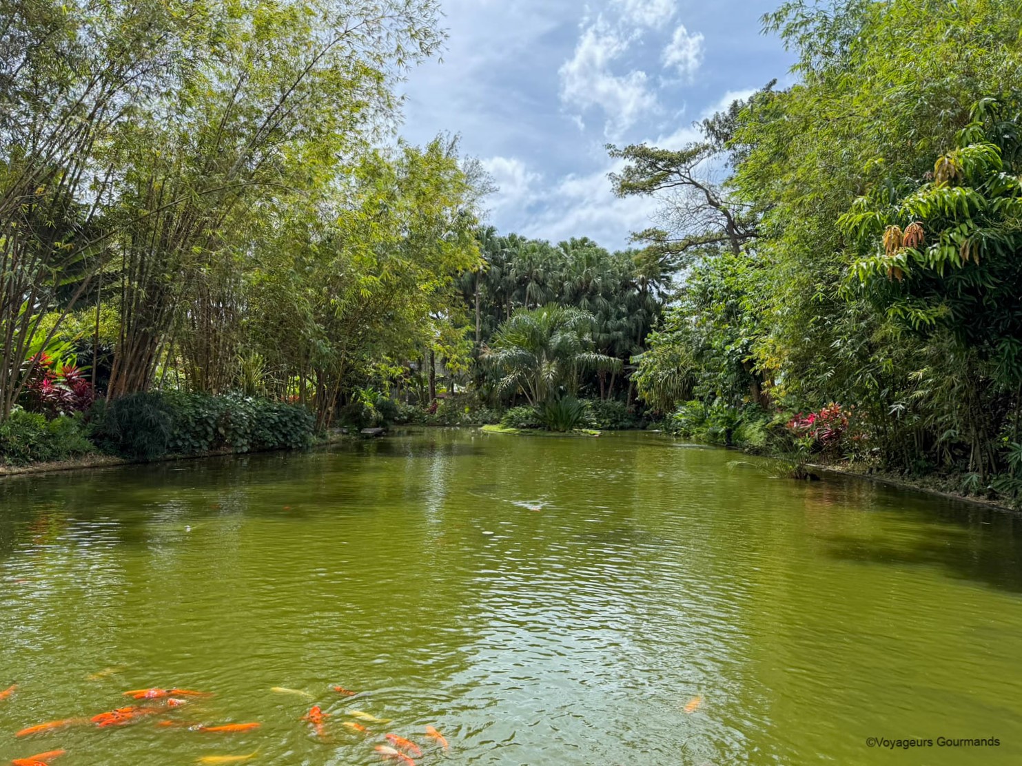 jardin botanique de deshaies