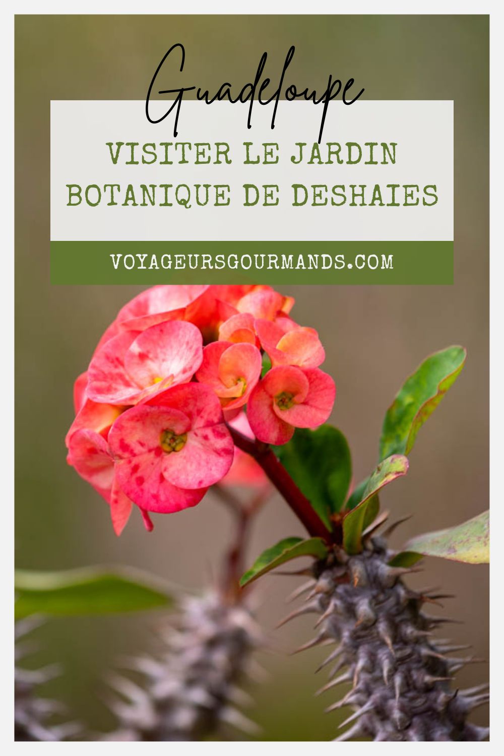 Jardin Botanique de Deshaies