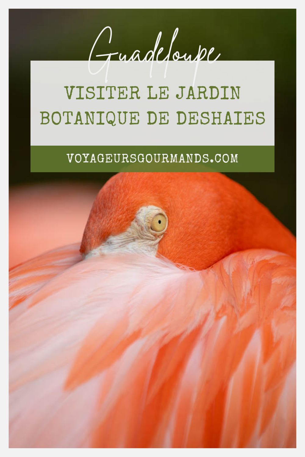 Jardin Botanique de Deshaies
