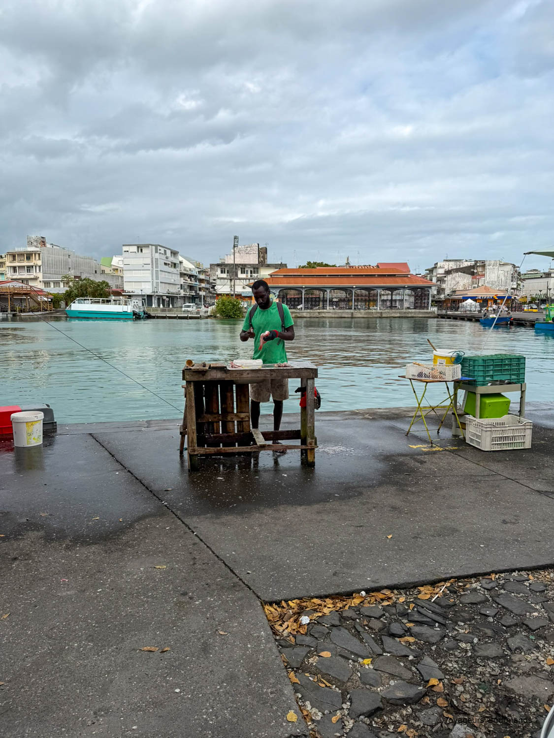 pointe a pitre marche de la darse