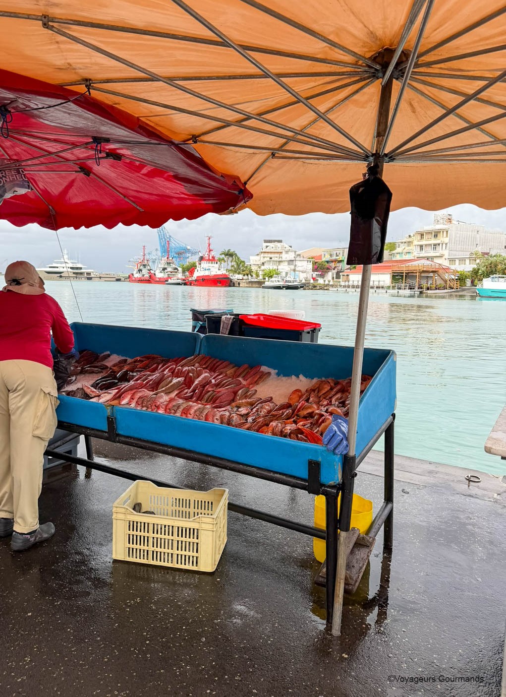 pointe a pitre marche de la darse