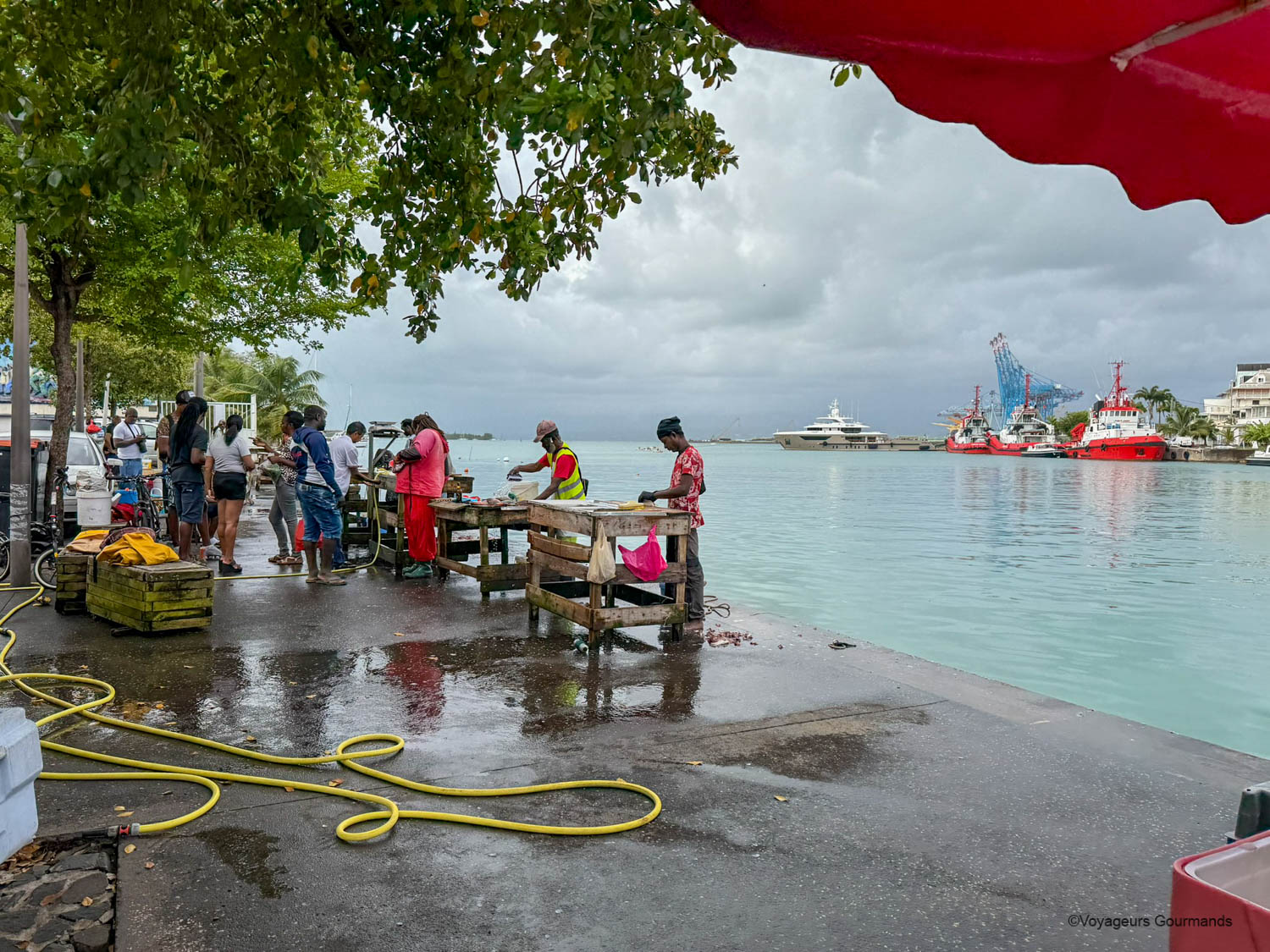 pointe a pitre marche de la darse