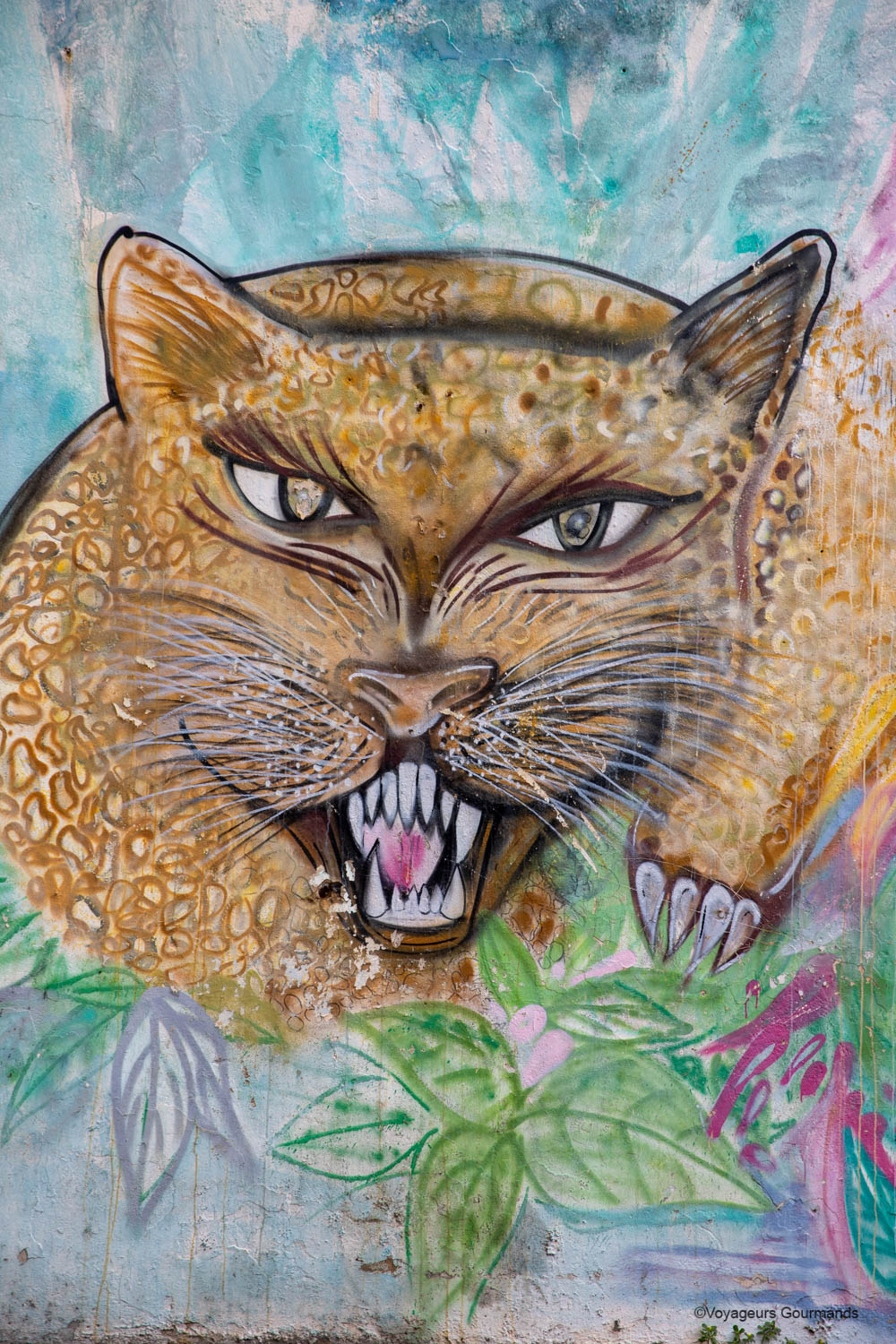 street art pointe a pitre