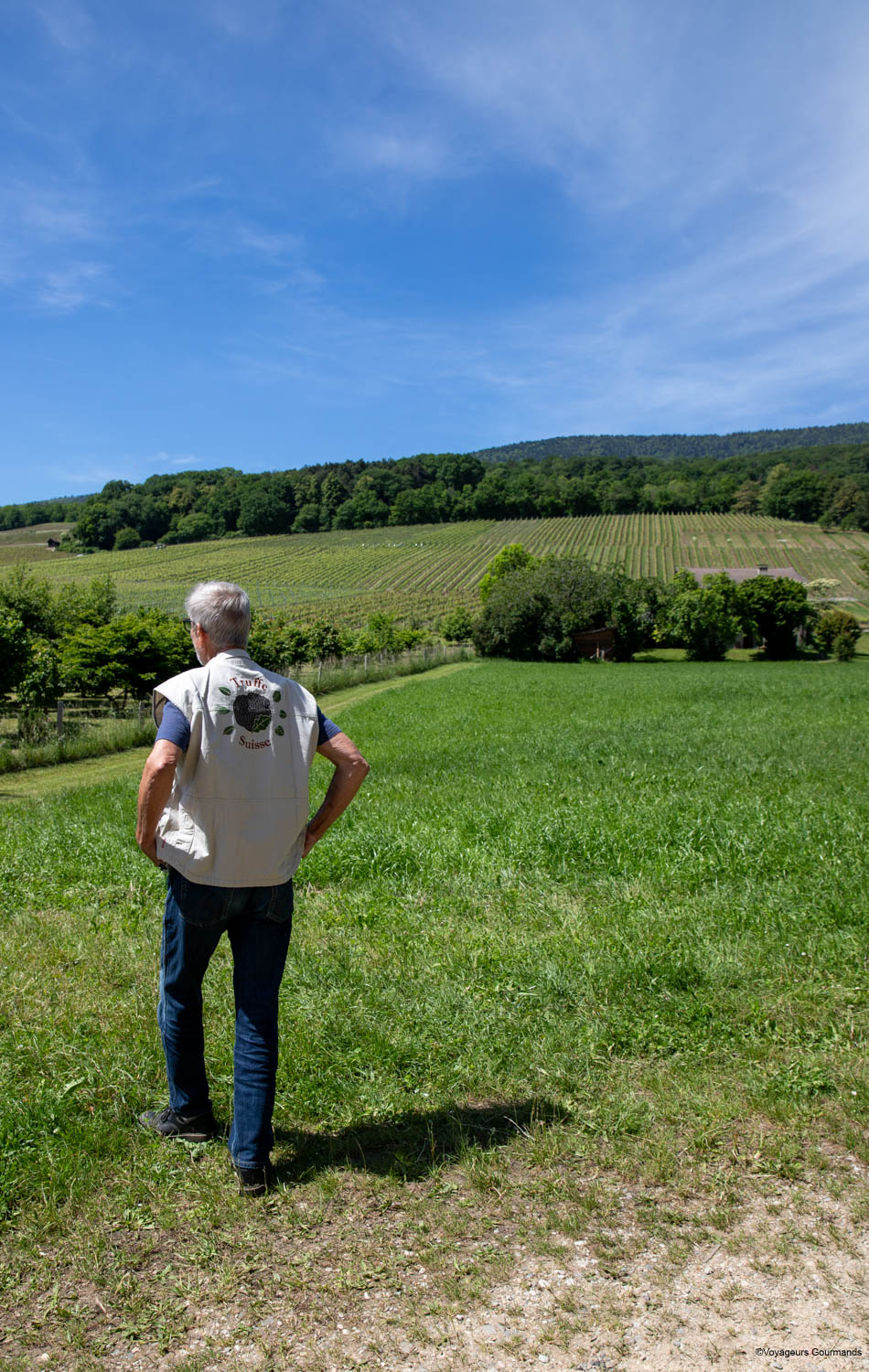 truffiere de bonvillars
