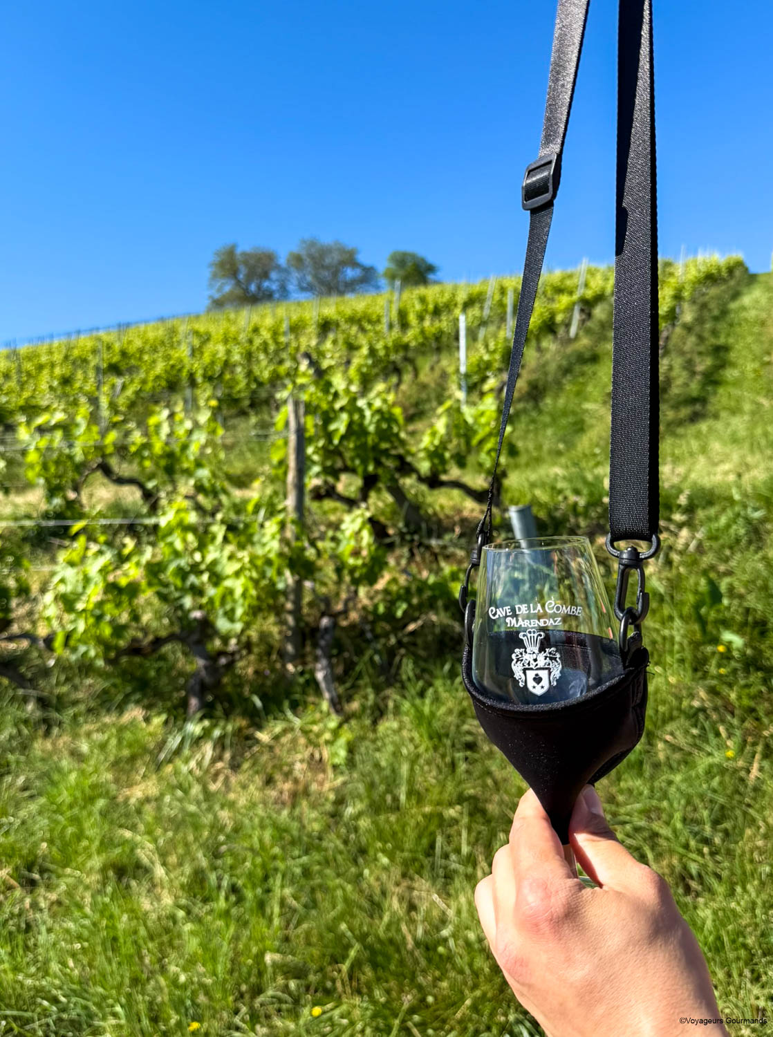 vino rando mathod