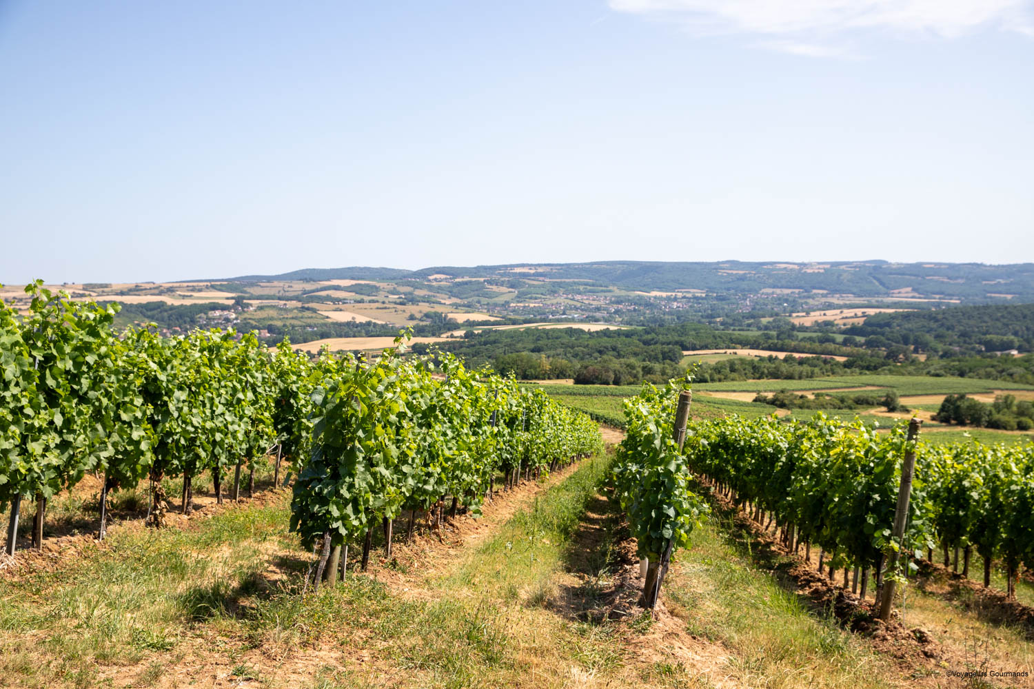 domaine de beauregard sirius a disparu