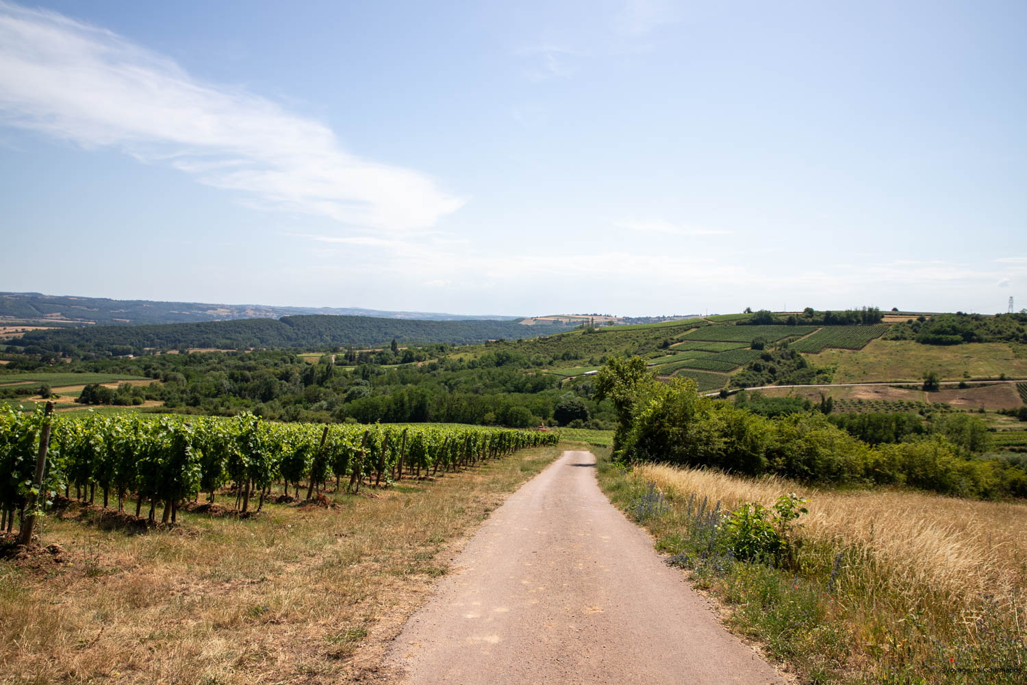 domaine de beauregard sirius a disparu