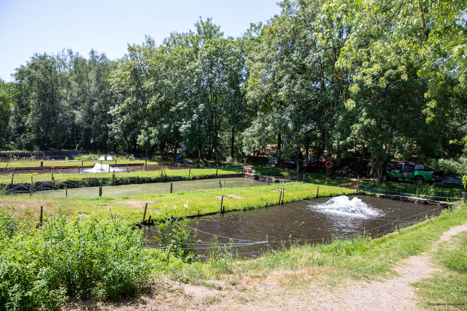 ferme piscicole du moulin 2
