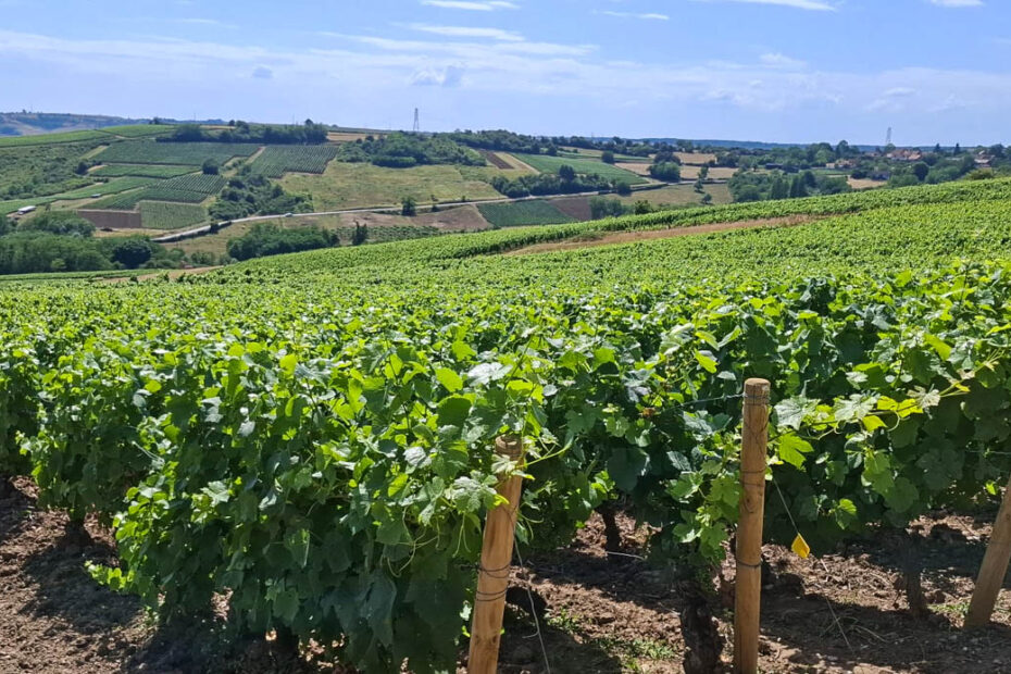 visiter la saone et loire