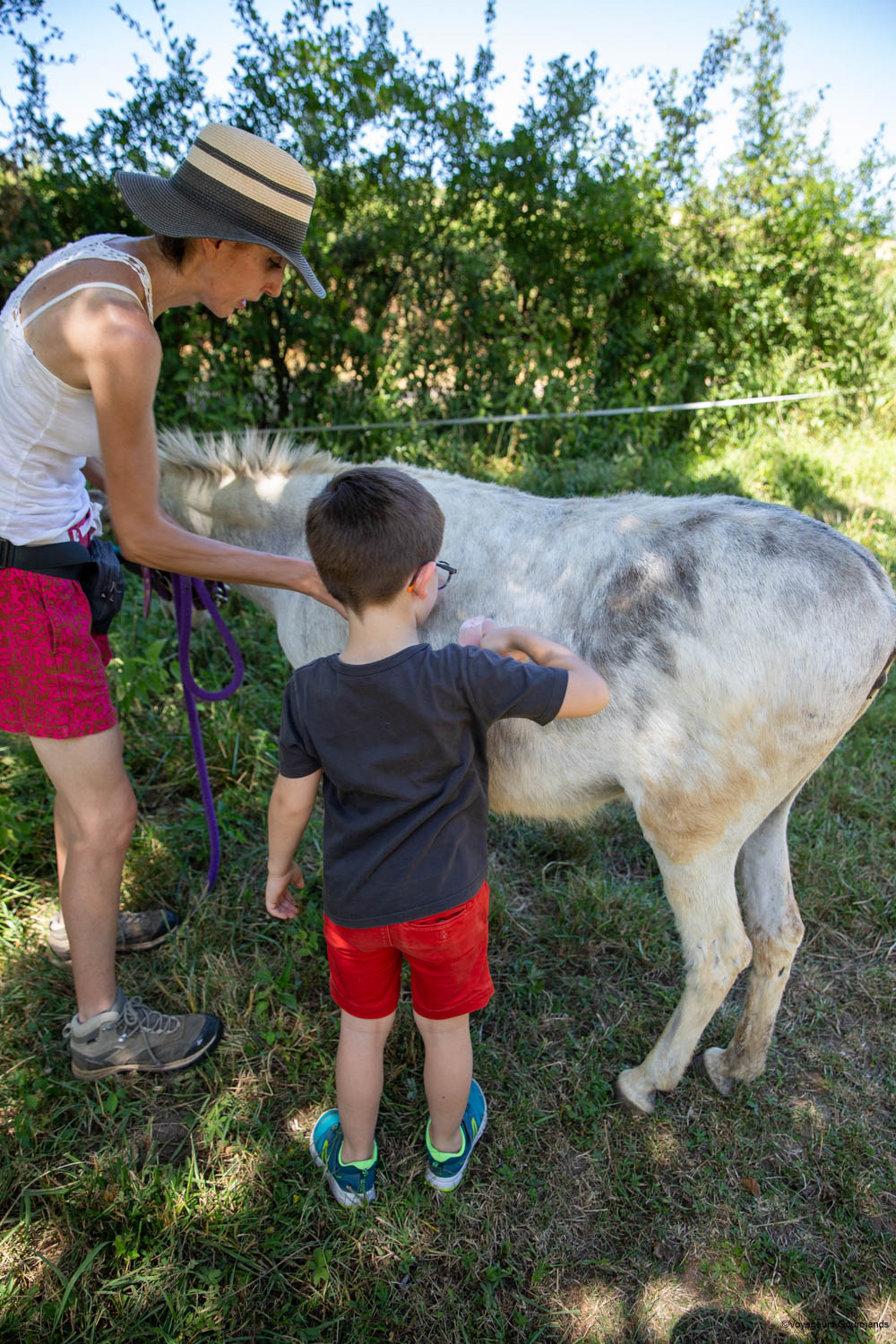 visiter la saone et loire en famille