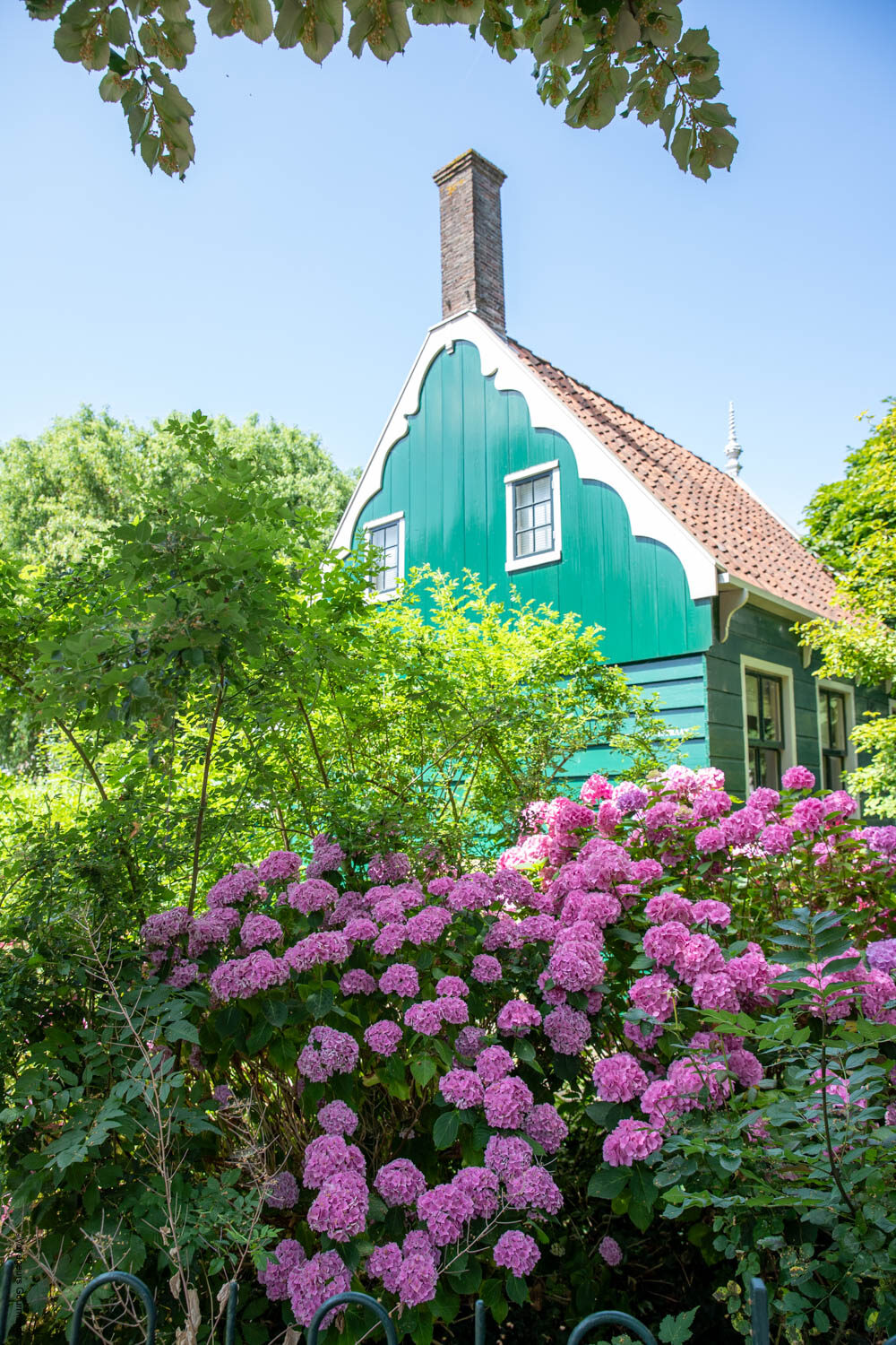 Zaandijk