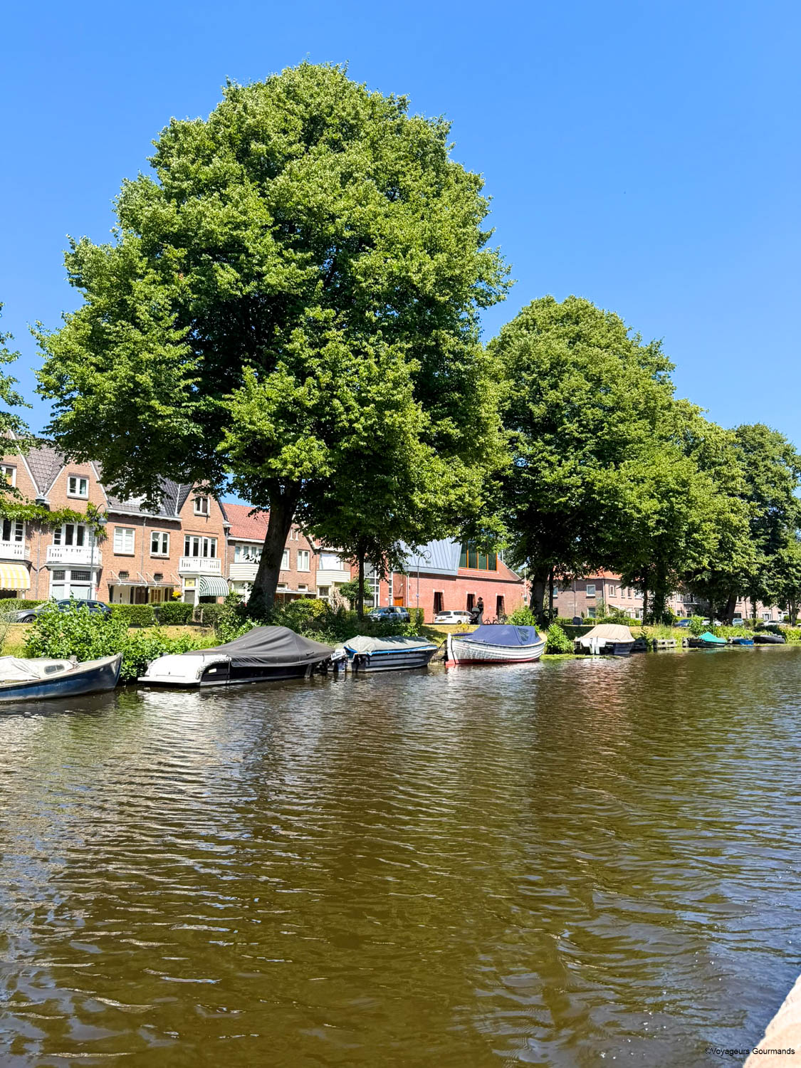 balade sur les canaux haarlem