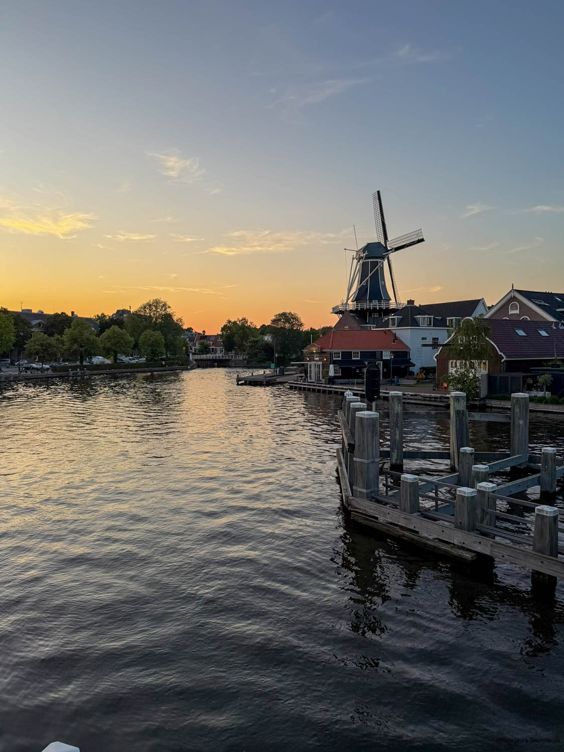 visiter haarlem