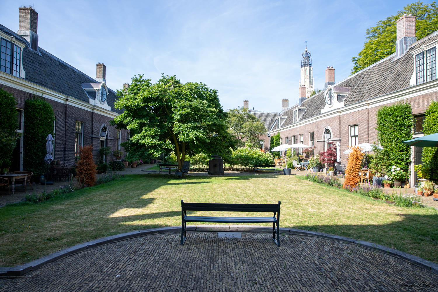 visiter haarlem en visite guidée à pieds