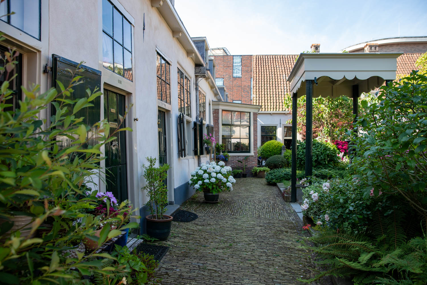 visiter haarlem en visite guidée à pieds