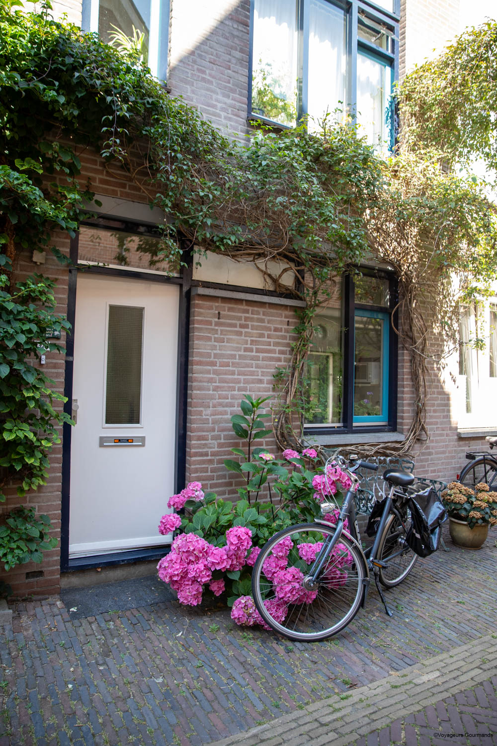visiter haarlem en visite guidée à pieds