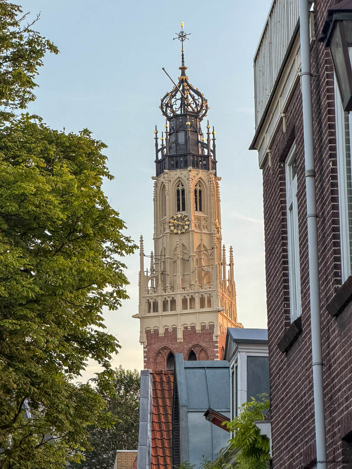 visiter haarlem en visite guidée à pieds