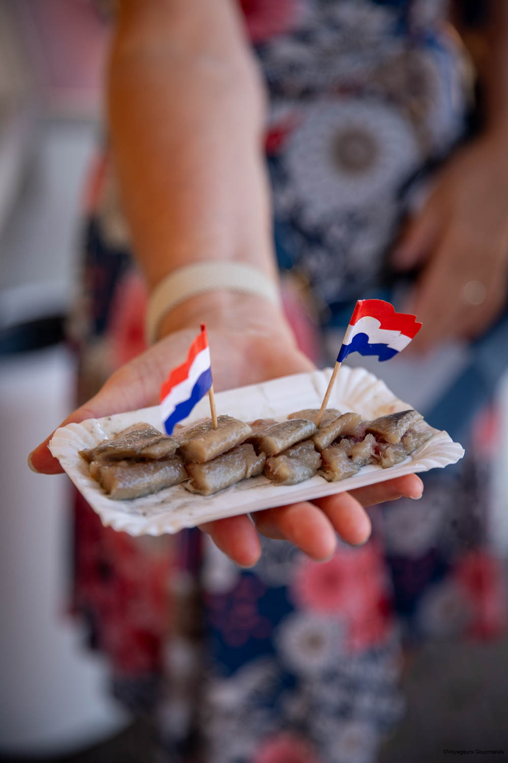 visiter haarlem grote markt