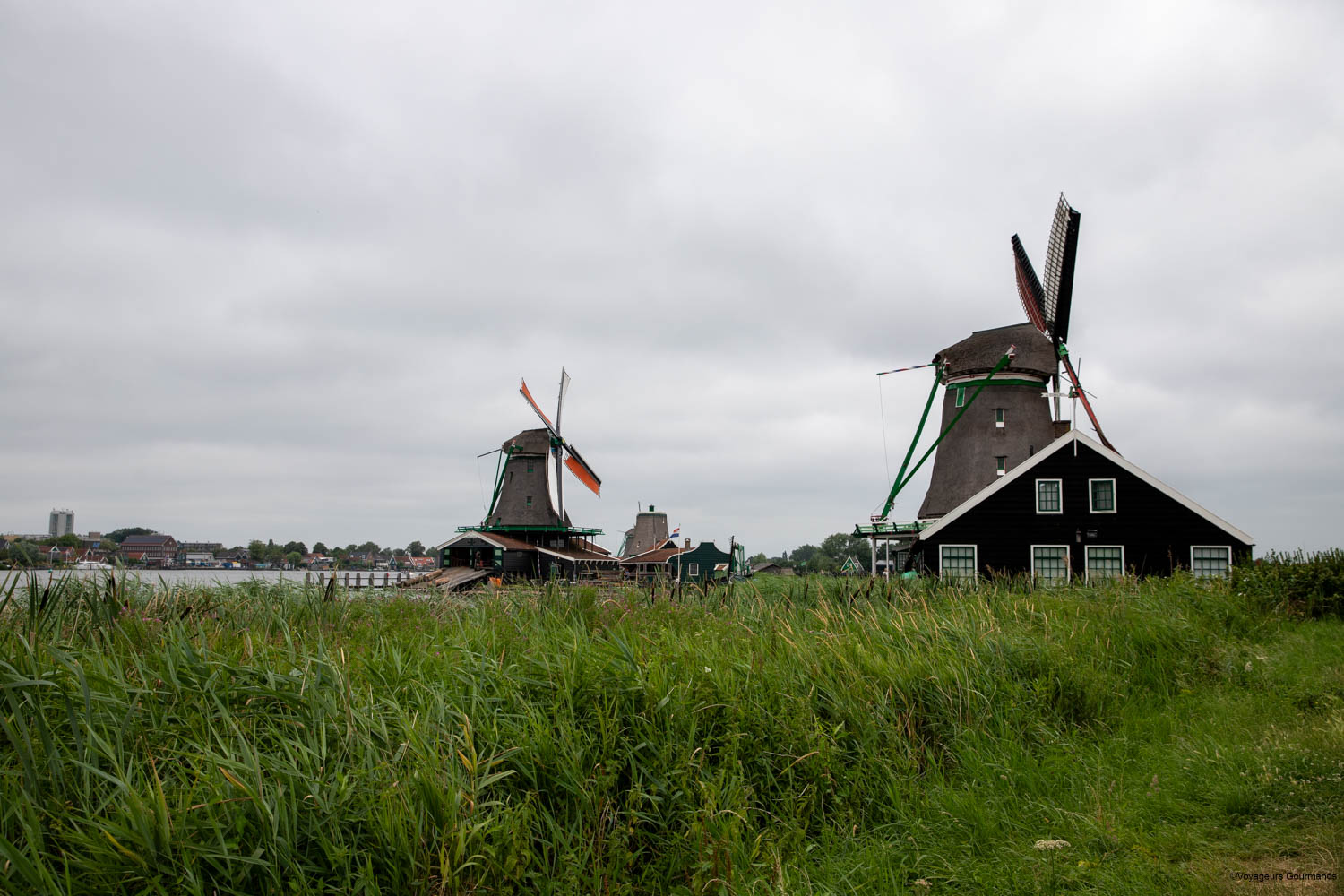 visiter zaan schanse moulins