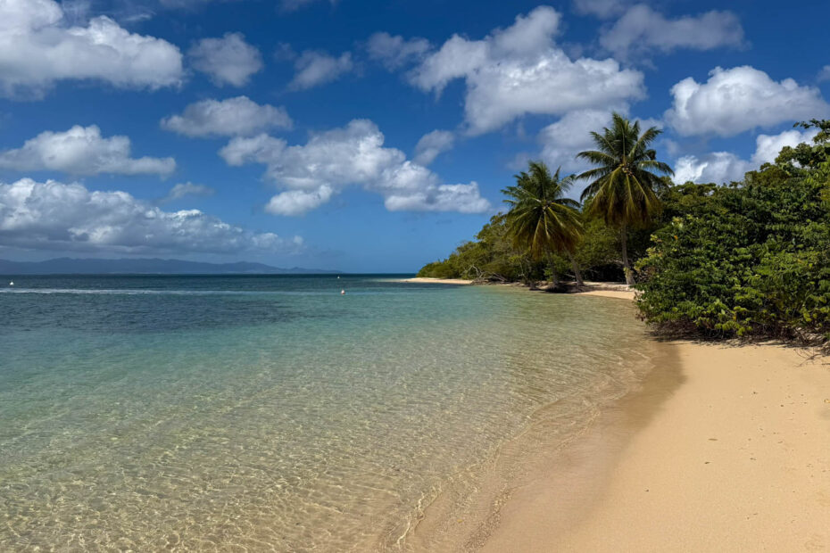 Pointe Sable, plage de sable blanc au bord du Grand Cul-de-Sac marin en Guadeloupe