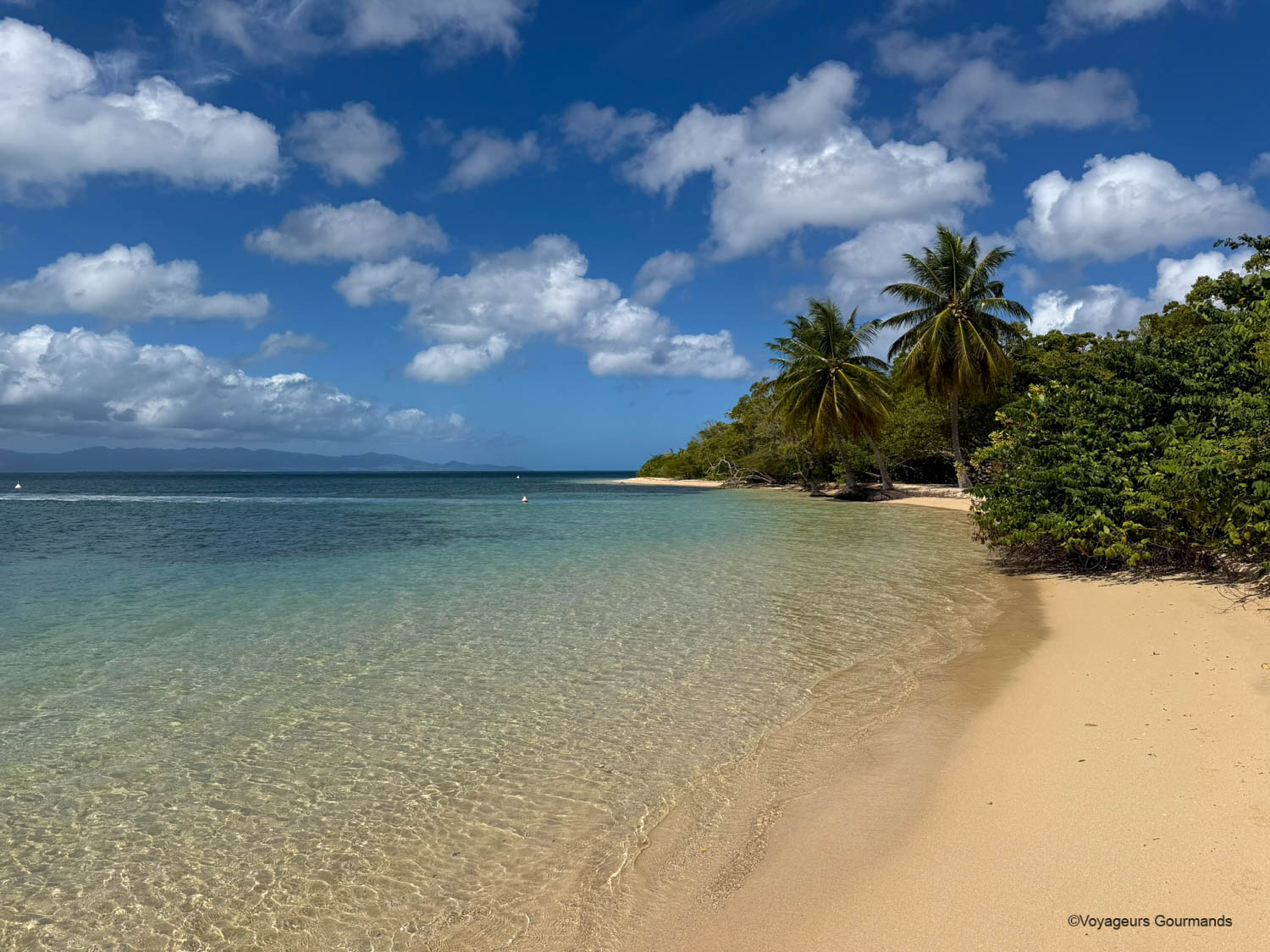 Les plus belles plages de Guadeloupe : 15 plages paradisiaques à découvrir