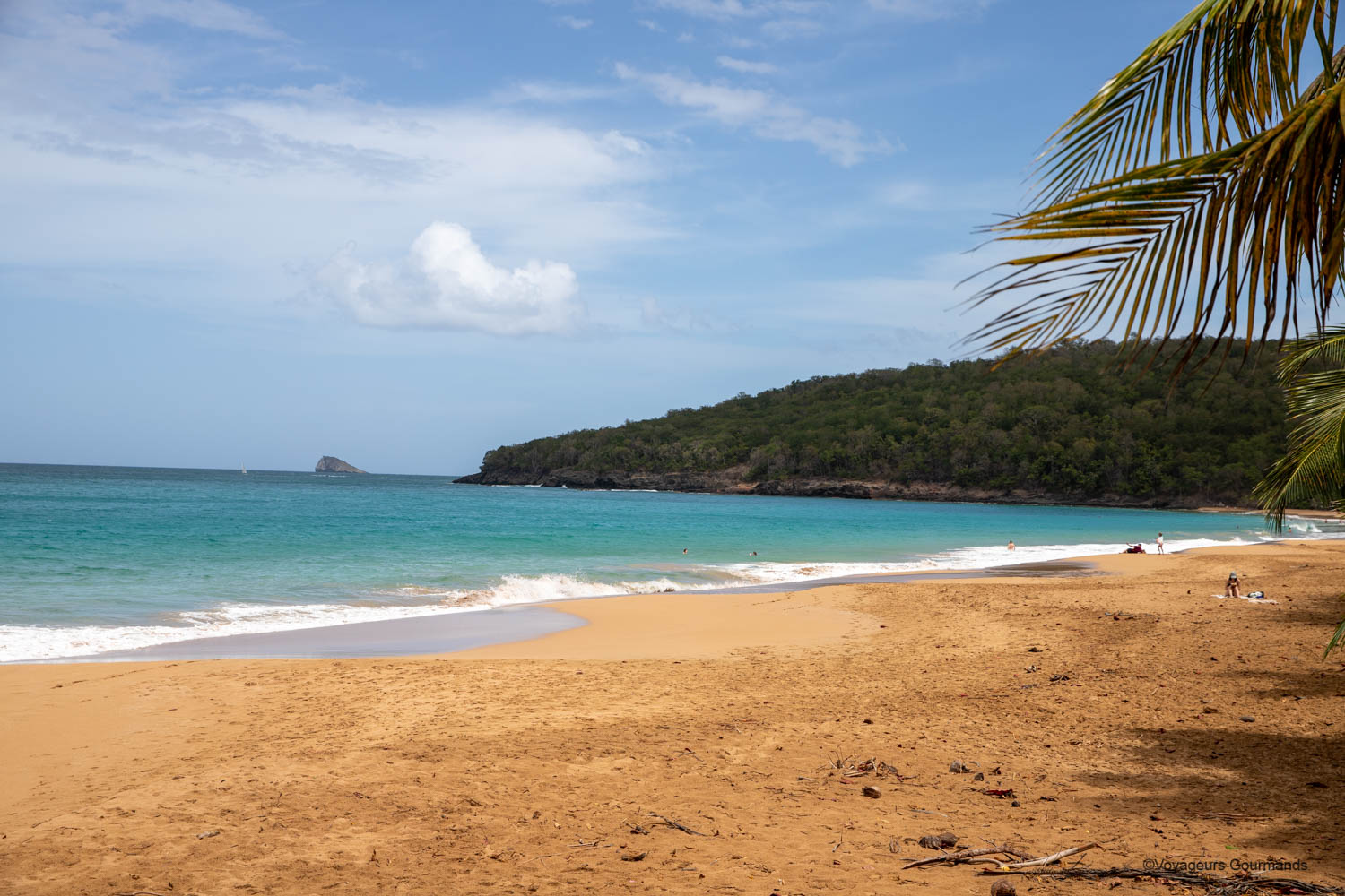Anse Tillet près de Deshaies, plage sauvage de Guadeloupe