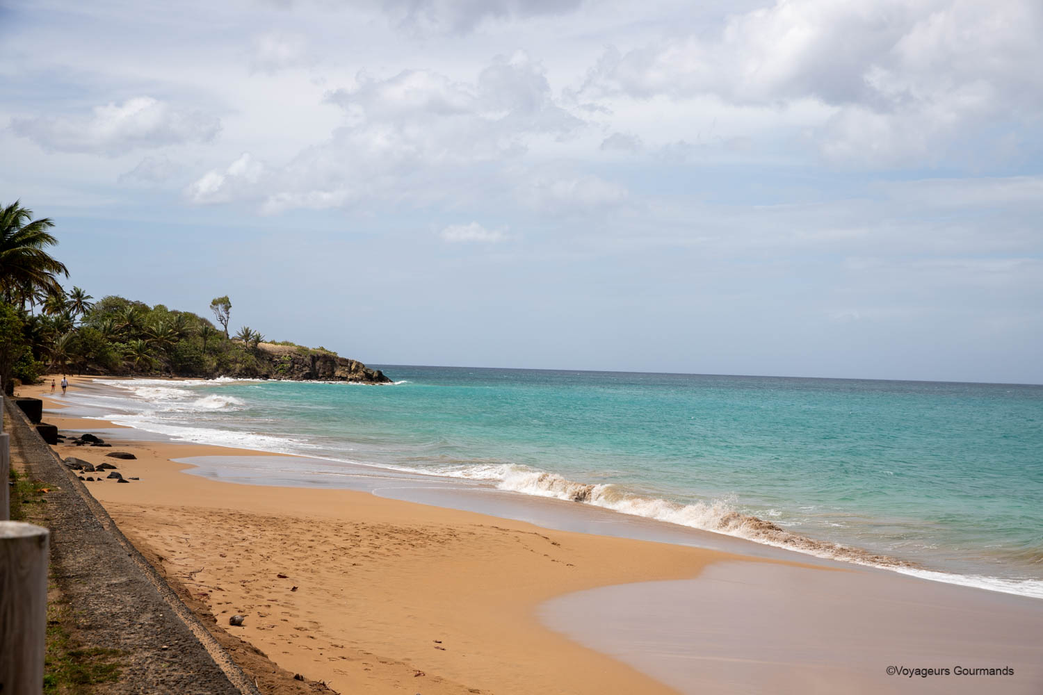 Anse Tillet, petite plage préservée de Basse-Terre