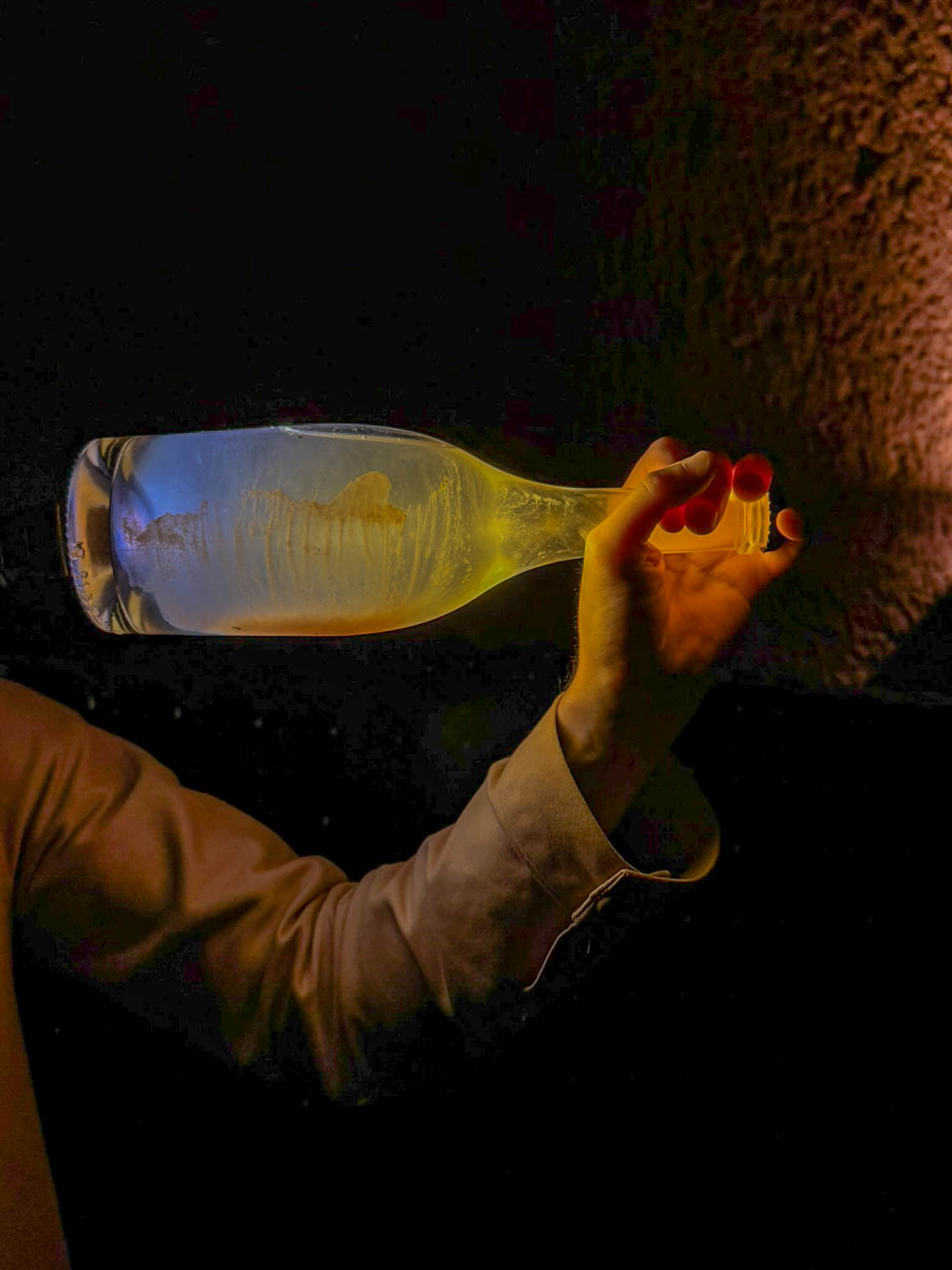 caves de champagne Joseph Perrier