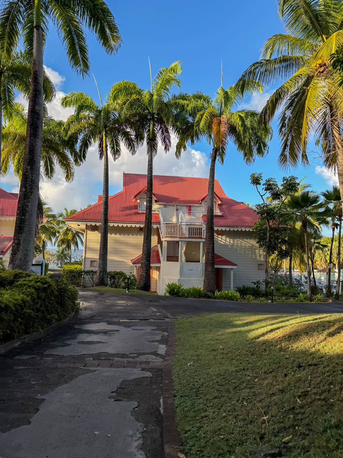 Allée bordée de cocotiers dans la résidence Pierre & Vacances Sainte-Anne