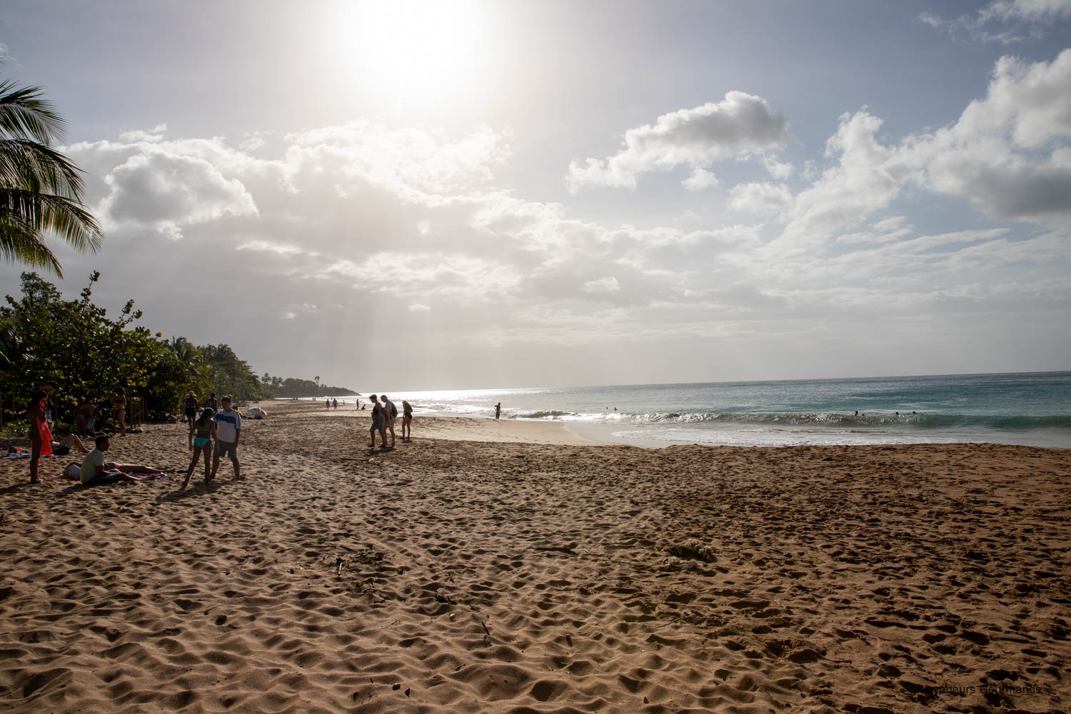 Vagues sur la plage de Grande Anse à Deshaies