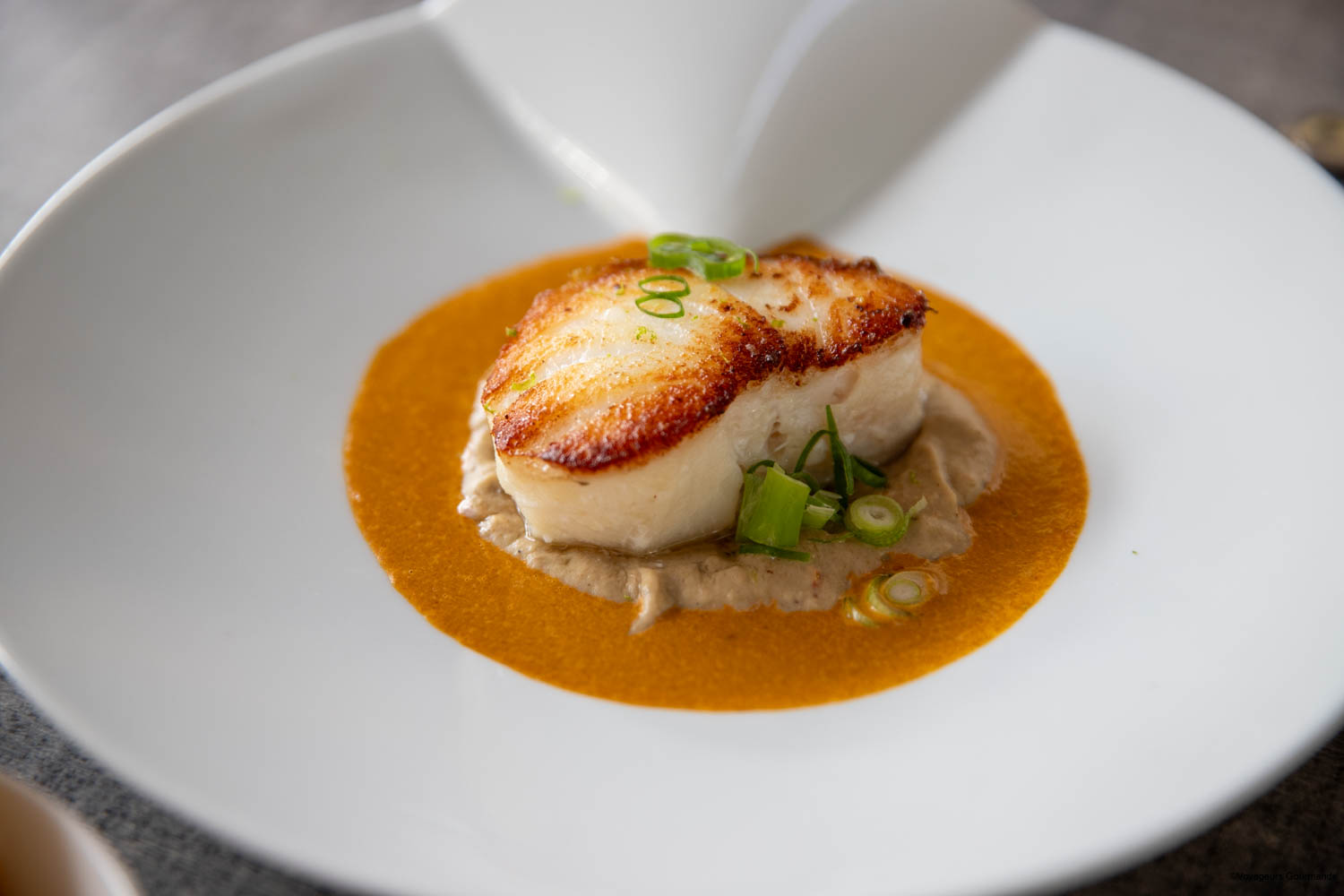 restaurant le petit pasteur chalons en champagne