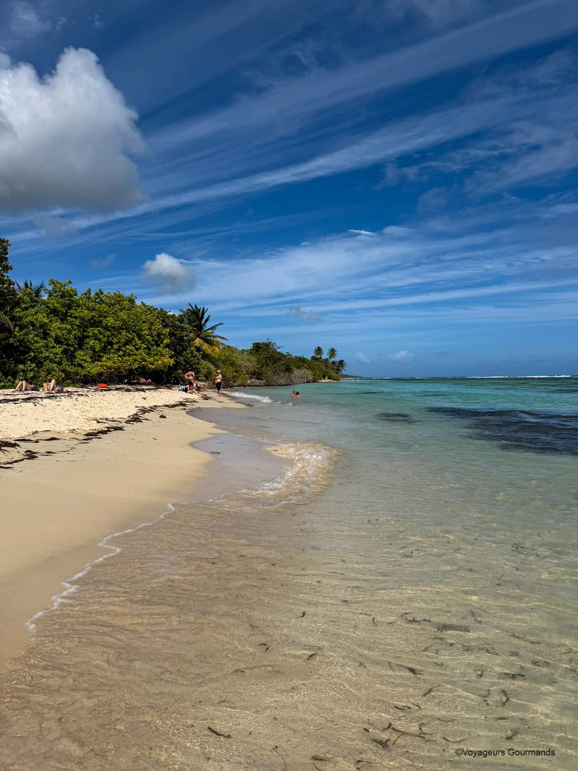 Plage de Bois Jolan à Sainte-Anne, Guadeloupe