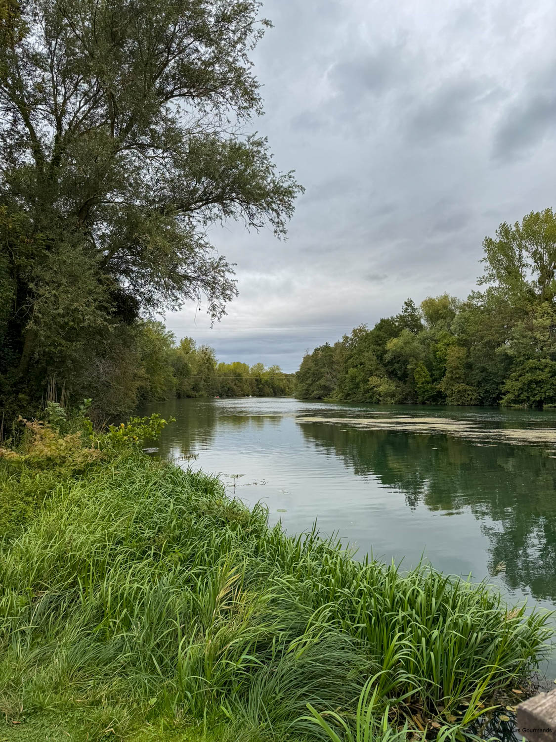 velo a chalons en champagne